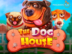 Ipad casino games. Ingiliz cinsi köpek.18